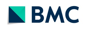 BMC logo