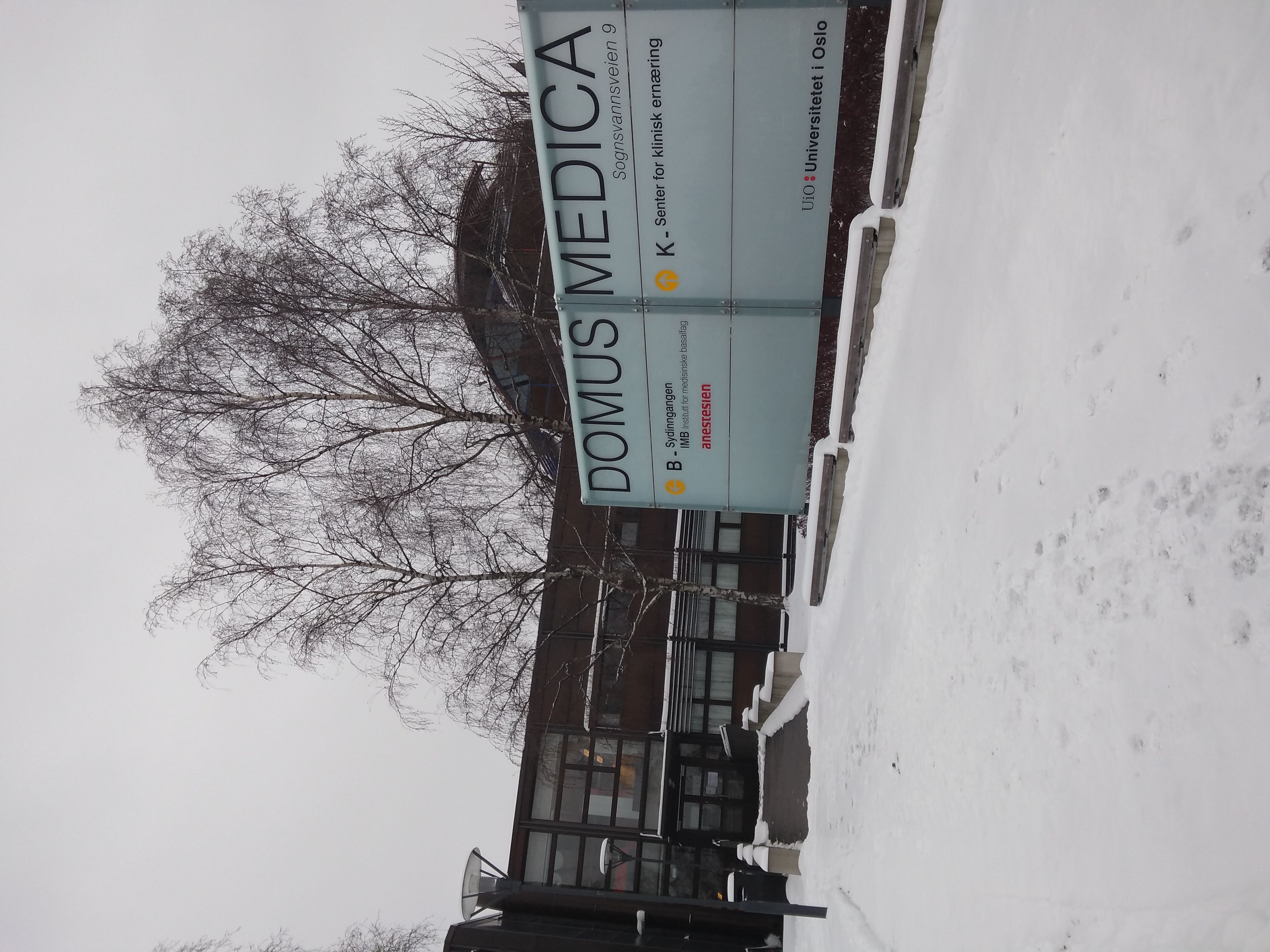 University of Oslo Campus