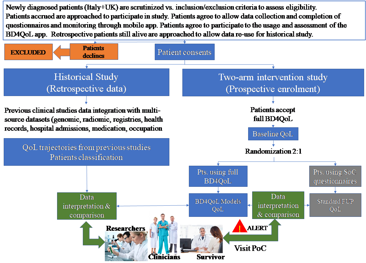 Clinical studies